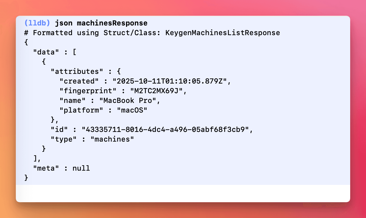 After - Clear and beautiful JSON output